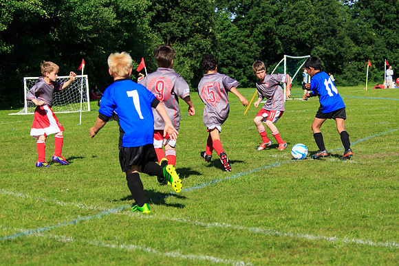 130629 Sandhurst Wanderers U8 at BTJ U9 Trny (452)