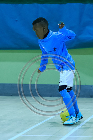 FT0515 (251)