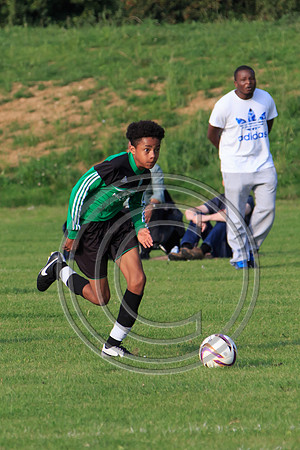 Eldon-2014 1348