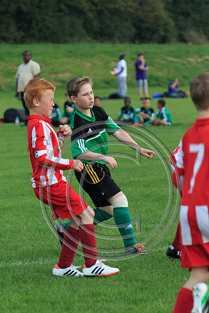 Eldon-2014 962