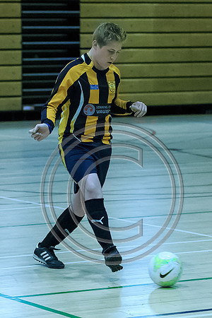 FT0515 (121)-2