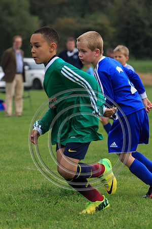 Eldon-2014 807