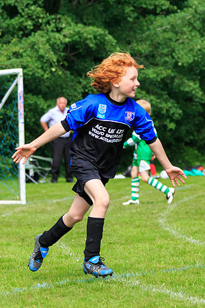 130629 Sandhurst Wanderers U8 at BTJ U9 Trny (201)-2