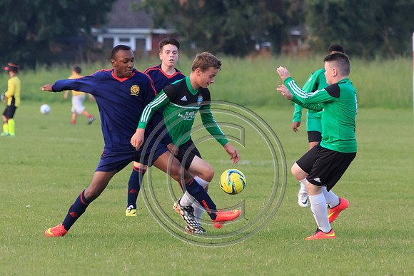 Eldon-2014 1485