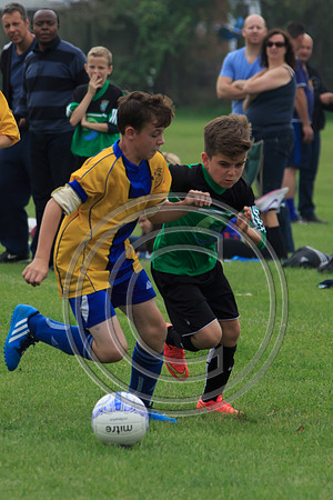Eldon-2014 710