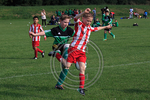 Eldon-2014 1029