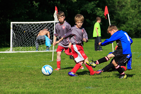 130629 Sandhurst Wanderers U8 at BTJ U9 Trny (339)