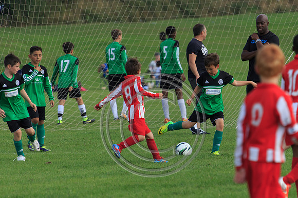 Eldon-2014 979