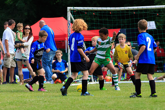 130629 Sandhurst Wanderers U8 at BTJ U9 Trny (215)