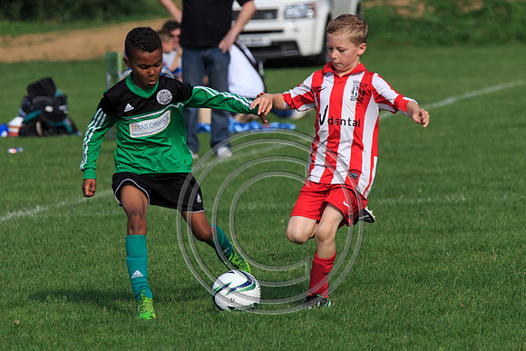 Eldon-2014 1043