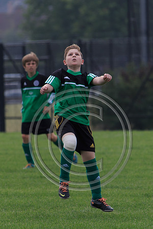 Eldon-2014 842