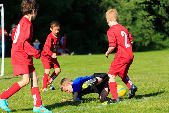 130629 Sandhurst Wanderers U8 at BTJ U9 Trny (477)