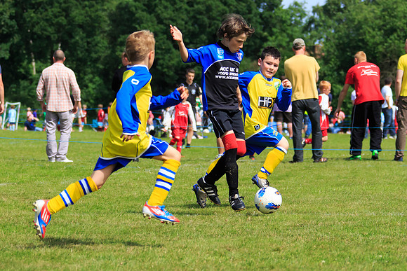 130629 Sandhurst Wanderers U8 at BTJ U9 Trny (124)