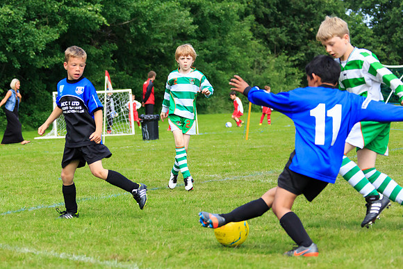 130629 Sandhurst Wanderers U8 at BTJ U9 Trny (221)