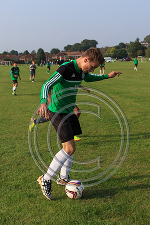 Eldon-2014 1328