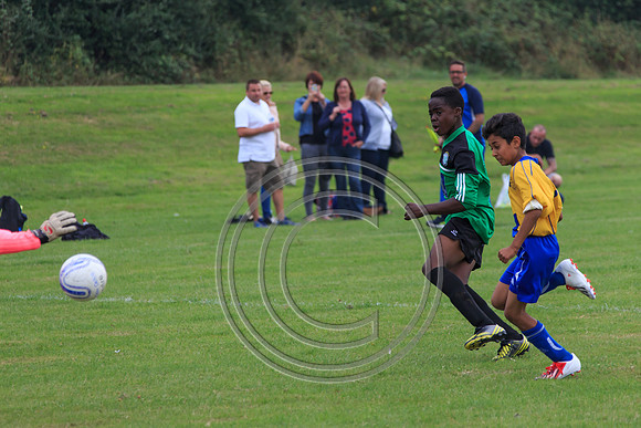Eldon-2014 720