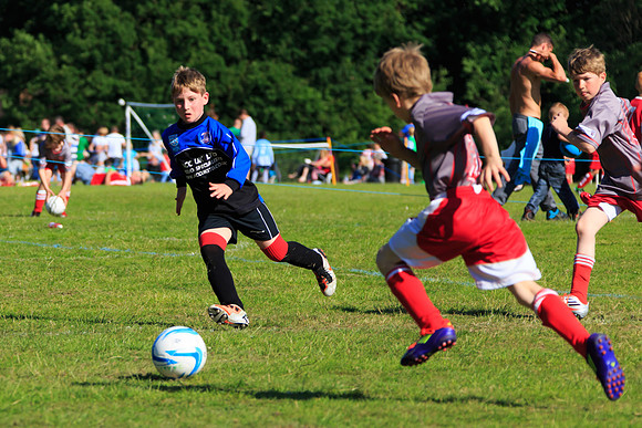 130629 Sandhurst Wanderers U8 at BTJ U9 Trny (393)