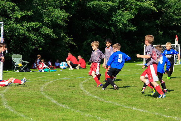 130629 Sandhurst Wanderers U8 at BTJ U9 Trny (344)