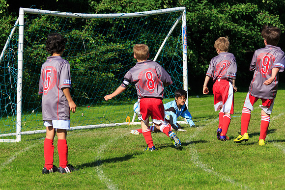 130629 Sandhurst Wanderers U8 at BTJ U9 Trny (443)