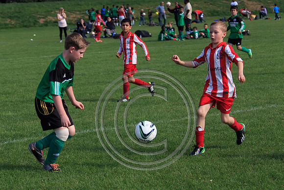 Eldon-2014 1028