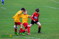 140223 B Cav U9 v Pinewood Pumas (21)