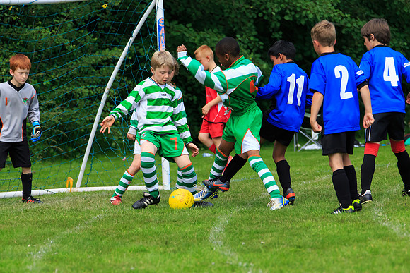 130629 Sandhurst Wanderers U8 at BTJ U9 Trny (234)