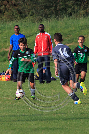 Eldon-2014 1336