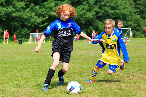 130629 Sandhurst Wanderers U8 at BTJ U9 Trny (136)