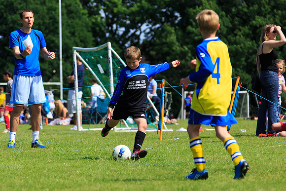 130629 Sandhurst Wanderers U8 at BTJ U9 Trny (170)
