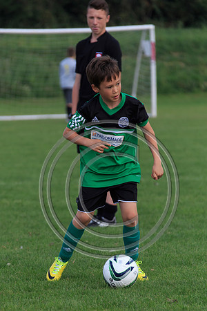 Eldon-2014 955