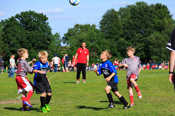 130629 Sandhurst Wanderers U8 at BTJ U9 Trny (420)