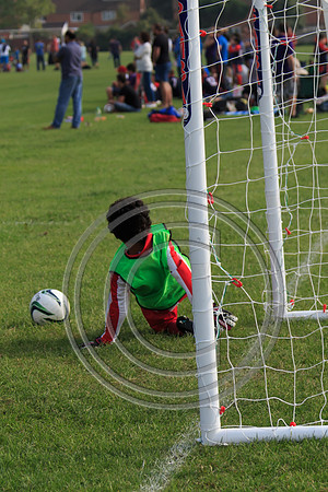 Eldon-2014 1023