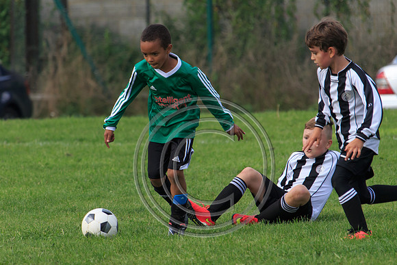 Eldon-2014 858