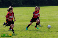 140614 B Cav U9 Tourny 043