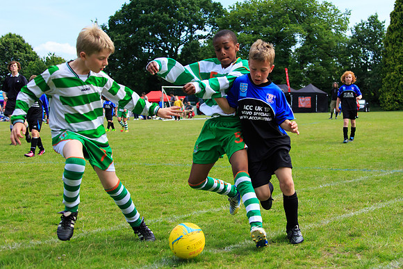130629 Sandhurst Wanderers U8 at BTJ U9 Trny (264)