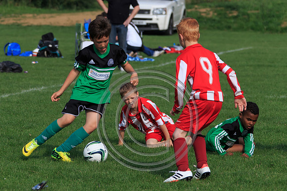 Eldon-2014 1046