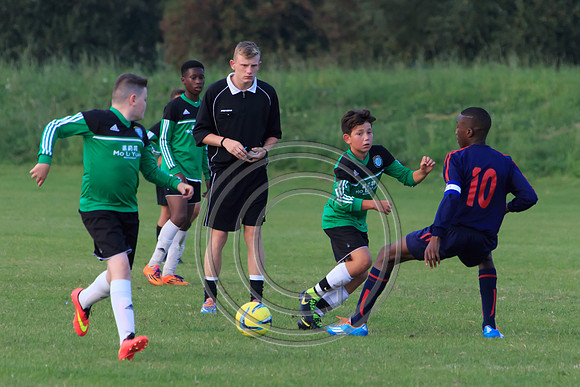 Eldon-2014 1484