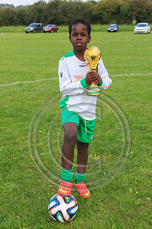 Eldon-2014 945