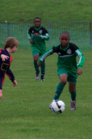 Eldon-2014 040
