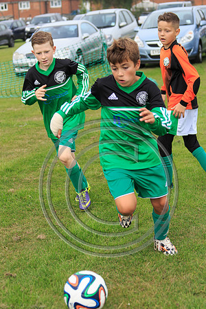 Eldon-2014 575