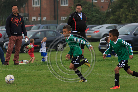 Eldon-2014 175