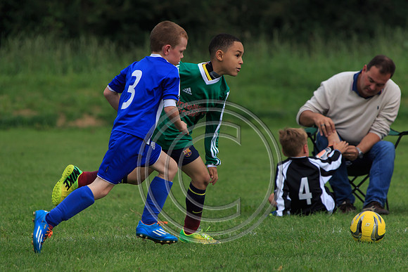 Eldon-2014 794