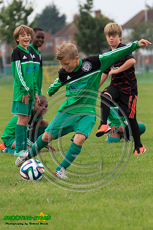 Eldon-2014 611