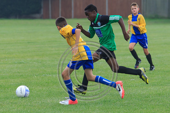 Eldon-2014 714