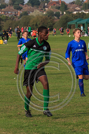 Eldon-2014 1122