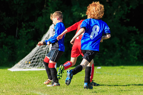 130629 Sandhurst Wanderers U8 at BTJ U9 Trny (551)