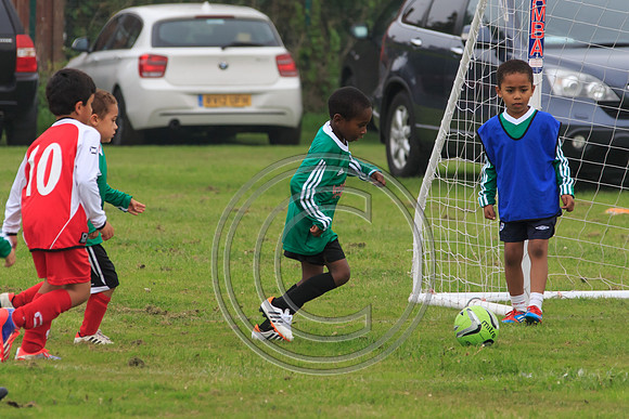 Eldon-2014 195