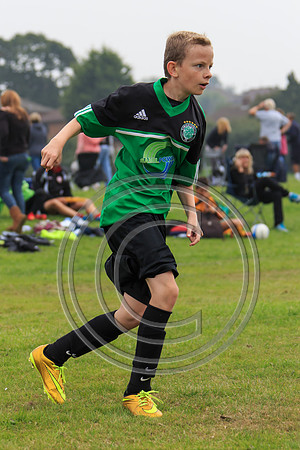 Eldon-2014 390