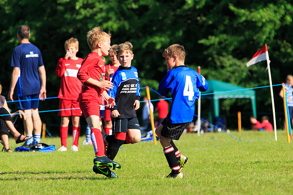 130629 Sandhurst Wanderers U8 at BTJ U9 Trny (503)