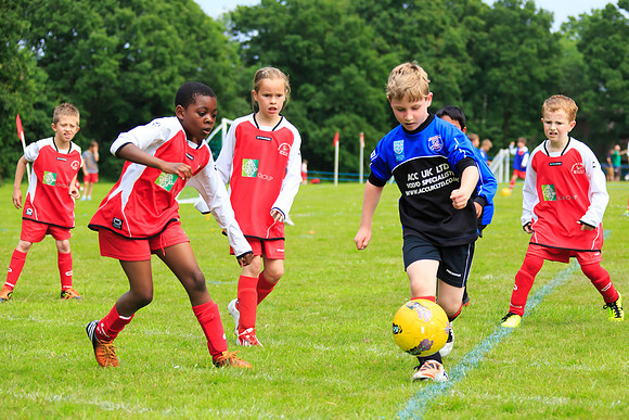 130629 Sandhurst Wanderers U8 at BTJ U9 Trny (41)